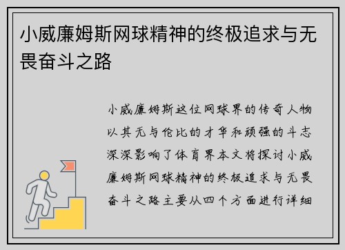 小威廉姆斯网球精神的终极追求与无畏奋斗之路