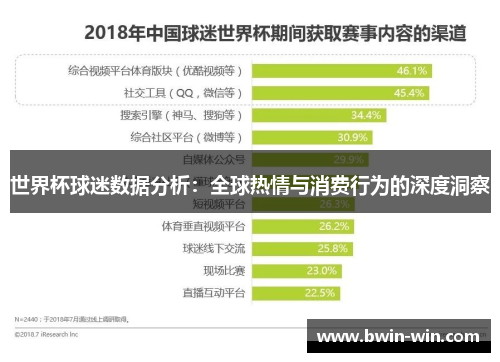 世界杯球迷数据分析：全球热情与消费行为的深度洞察