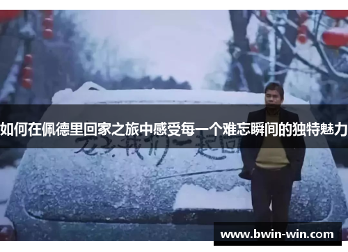 如何在佩德里回家之旅中感受每一个难忘瞬间的独特魅力